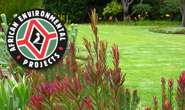African Environmental Projects