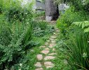 The stone pathway ends at a viewing seat at the base of a beautiful old Stone Pine tree