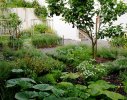 A potager of fruits, vegetables and herbs in the rear garden