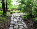 A granite stone pathway creates strong lines and movement through the forest