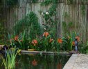 Hout Bay Residence 1- View of Koi pond
