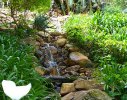 Hout Bay Residence1- Koi pond overflow into lower stream and pools