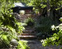 Hout Bay Residence1- Stone stairway leading to Koi pond and lower garden