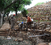 Landscape Installation